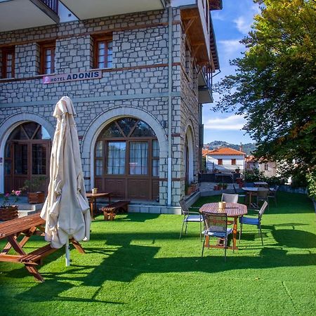 Hotel Adonis Metsovo Bagian luar foto
