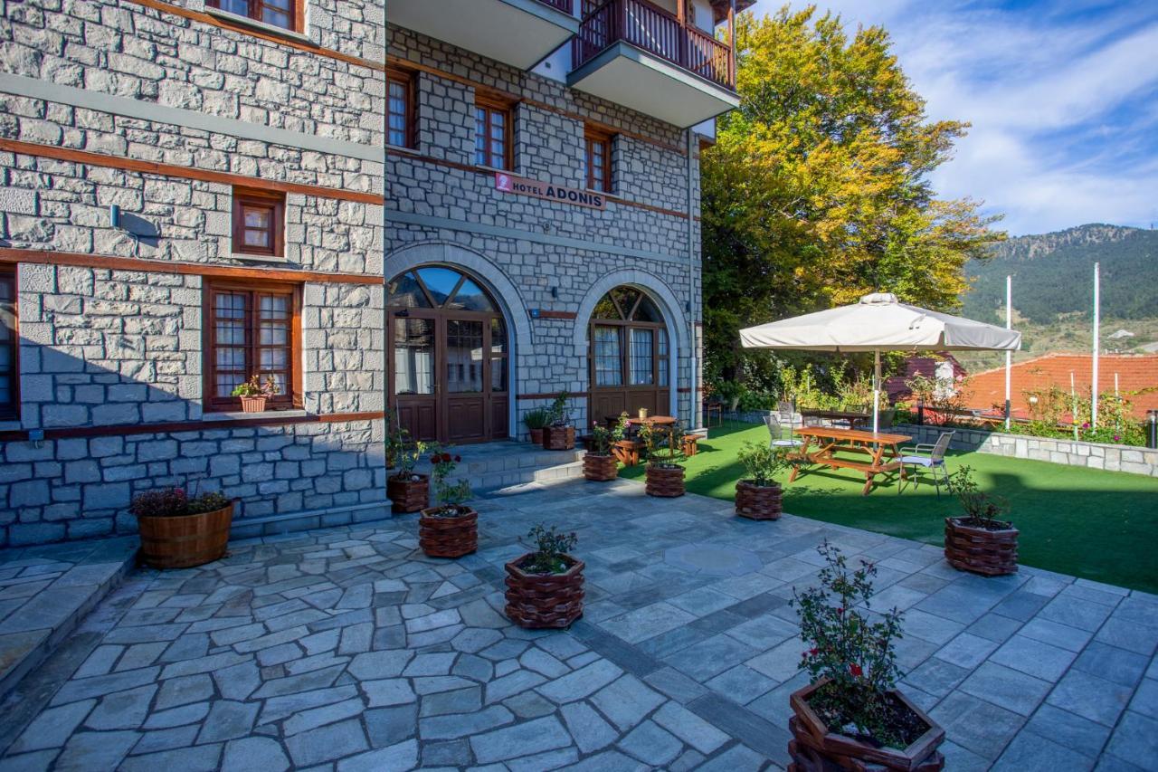 Hotel Adonis Metsovo Bagian luar foto