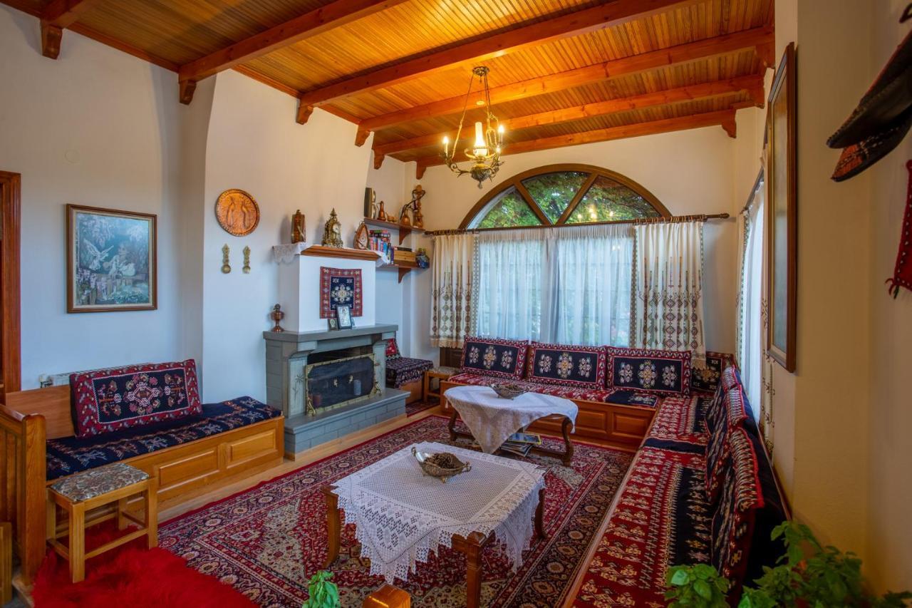 Hotel Adonis Metsovo Bagian luar foto